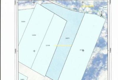 Teren extravilan de 50000 mp, în Frătăuții Noi - 3