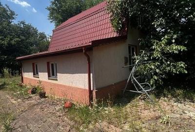 Casă cu 4 camere cu Teren 140 Mp în Gruiu - 3