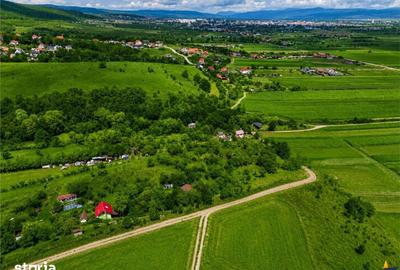 Teren de 4500 mp, în Ilieni