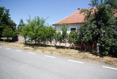 Casă individuală cu 4 camere cu Teren 2471 Mp în Hitiaș - 16