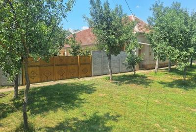 Casă individuală cu 5 camere cu Teren 5095 Mp în Călacea - 4