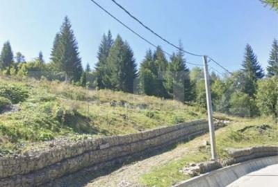 Teren de 5000 mp, în Central