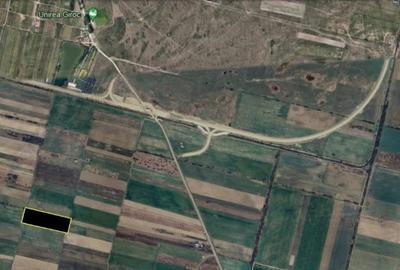 Teren agricol extravilan de 20000 mp, în Giroc - 2