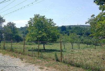 Teren de 3100 mp, în Văleni - 2