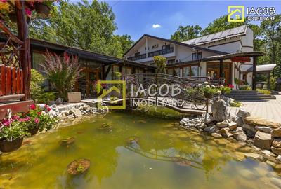 Hotel/Pensiune, de 150 mp, în Răstoaca - 1