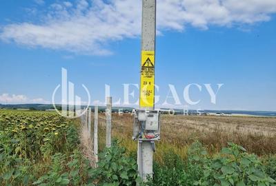 Teren agricol intravilan de 30101 mp, în Tudor Vladimirescu - 5