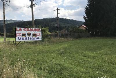 Teren de 4600 mp, în Brădet