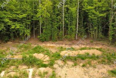 Teren intravilan de 3000 mp, în Porumbacu de Sus - 10