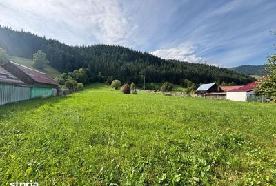 Teren de 7100 mp, în Grințieș - 6