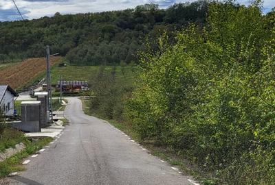 Teren Construcții intravilan de 2900 mp, în Crișeni - 3