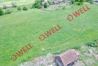 Teren intravilan de 10611 mp, în Brateș - 2