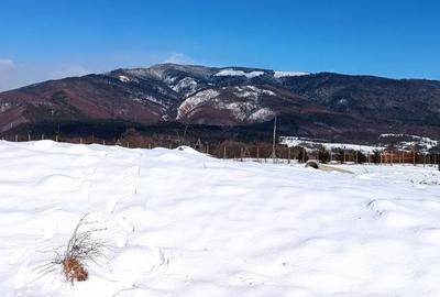 Teren de 5050 mp, în Nucșoara - 6