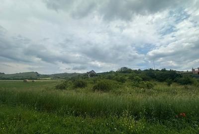 Teren Construcții intravilan de 1493 mp, în Teleac - 1