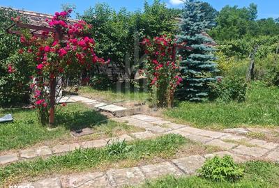 Casă cu 4 camere în Calbor - 13