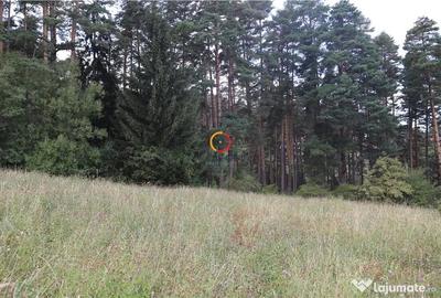 Teren de 1195 mp, în Poiana Angelescu - 5