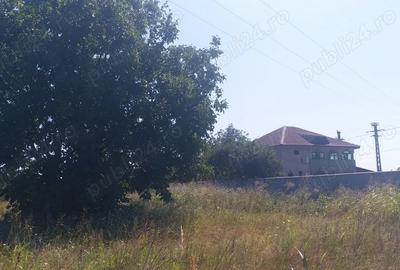 Teren de 15000 mp, în Vernești