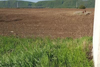 Teren de 2500 mp, în Bănești