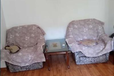 Apartament cu 2 camere semidecomandat, mobilat în Timpuri Noi