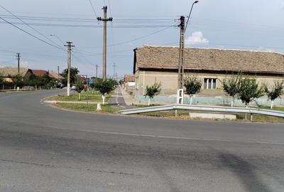 Casă cu 4 camere în Macea - 1