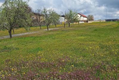 Teren de 4150 mp, în Nord