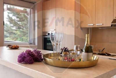 Apartament cu 3 camere, mobilat în Snagov - 3