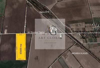 Teren Construcții intravilan de 65600 mp, în Căciulați - 1