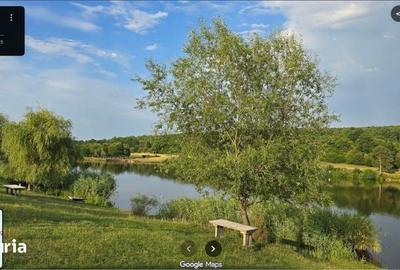 Teren de 3100 mp, în Sadu - 4