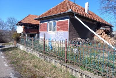 Casă individuală cu 6 camere cu Canalizare în Cerișor