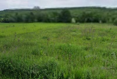 Teren de 3000 mp, în Butoiu de Sus - 2