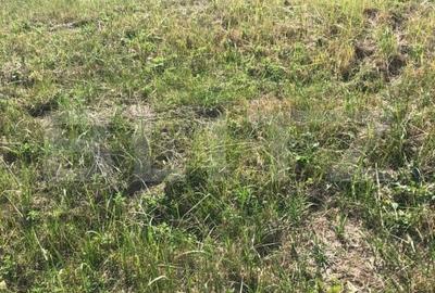 Teren Construcții intravilan de 735 mp, în Dumbrăvița