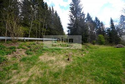 Teren Construcții intravilan de 1060 mp, în Predeal - 11