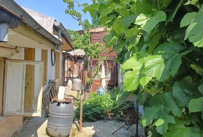 Casă cu 2 camere în Central - 2