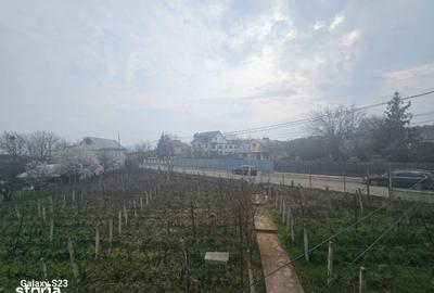 Casă cu Teren 15000 Mp în Galata