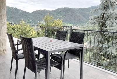 Apartament cu 3 camere decomandat, mobilat în Drumul Poienii - 18