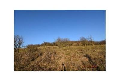 Teren de 8700 mp, în Adămuș