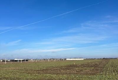 Teren Construcții intravilan de 4558 mp, în Domnești - 1