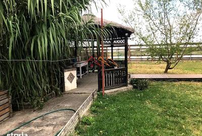 Casă cu Teren 1500 Mp în Crișan