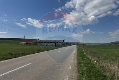 Teren Construcții extravilan de 8600 mp, în Luna de Jos - 7