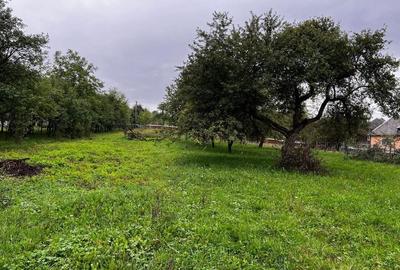 Spațiu comercial, în Hoteni - 5