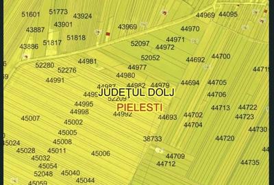 Teren de 10000 mp, în Pielești - 5