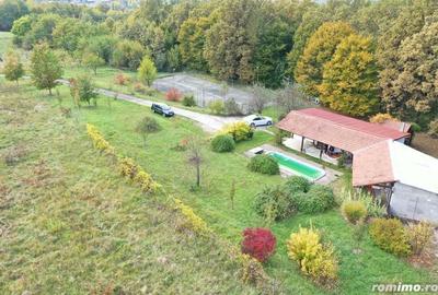 Casă cu 5 camere cu Teren 60875 Mp în Beiuș - 11