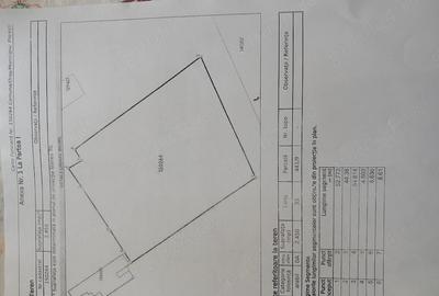 Teren de 2000 mp, în Central