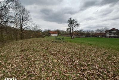 Teren de 9370 mp, în Baia de Criș - 7