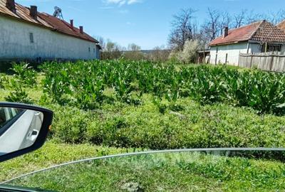 Teren de 1683 mp, în Tălpășești
