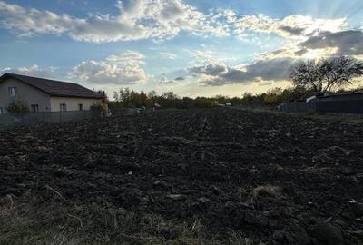 Teren Construcții intravilan de 3404 mp, în Alexeni - 2
