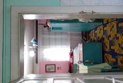 Apartament cu 2 camere decomandat în Topleț