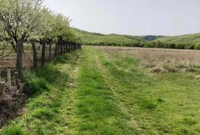 Teren de 3700 mp, în Bârsești (Budești) - 8