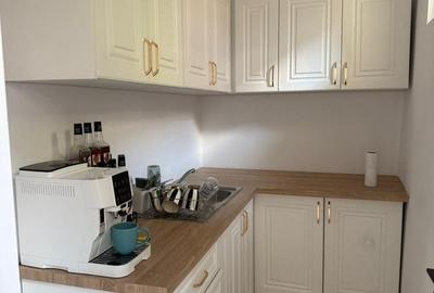 Apartament cu 2 camere în Burdea - 4