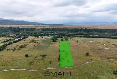 Teren de 5000 mp, în Central