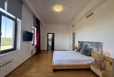 Apartament cu 4 camere decomandat, mobilat în Băneasa - 8